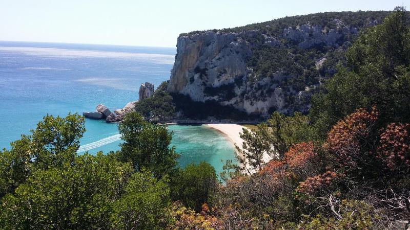 Il giardino all'angolo a Villacidro - Incantevole B&B