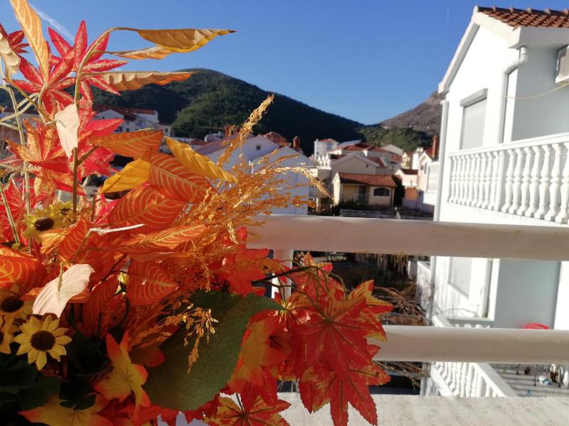 Apartment White Lily of Budva — отзывы гостей и цены