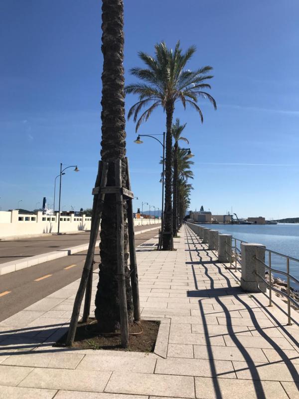 Appartamento Centrale Olbia - Ampio alloggio terrazza