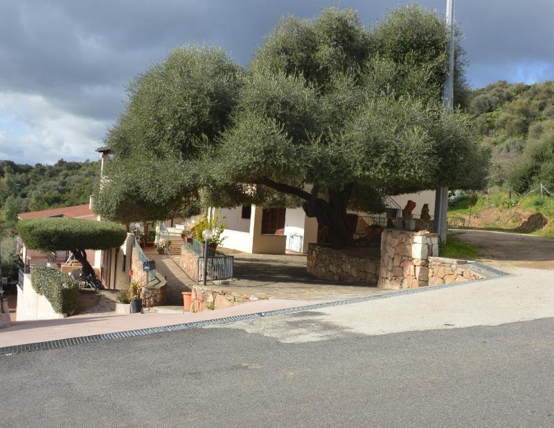 Li Puntiti 1 a Budoni - Panoramico Appartamento Vista Mare