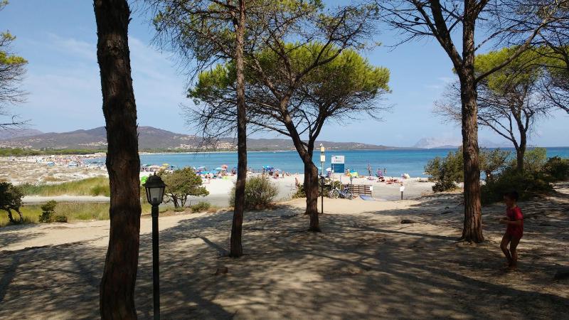 Appartamenti I Mandorli a Budoni - Vista Mare