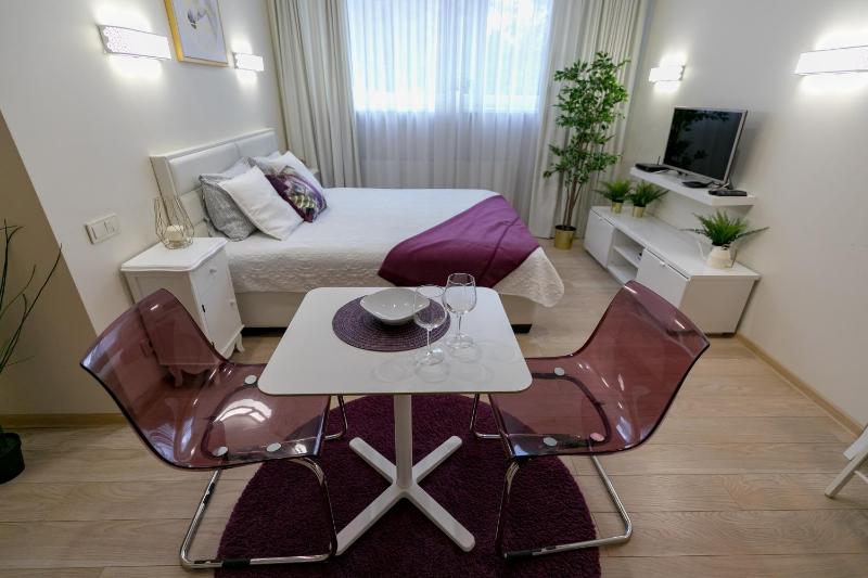 Raugyklos g. apartment — отель с удобствами в Вильнюсе