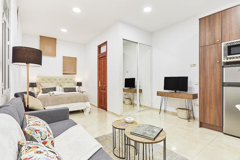 LEEWAYS APARTMENT IX in GRAN VIA — комфортный отель в Мадриде