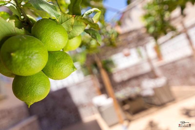 Apartament Lemon Paradise — отель с удобным расположением в Аликанте
