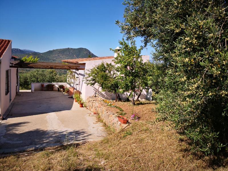 Villa Sa Pruna a Oliena - Incantevole villa panoramica