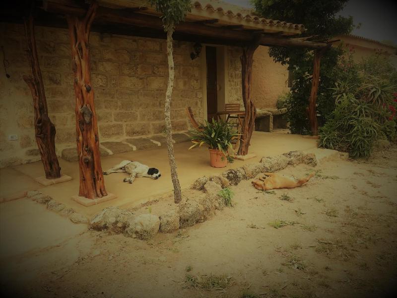 Li Casacci ad Arzachena - Accogliente B&B con giardino