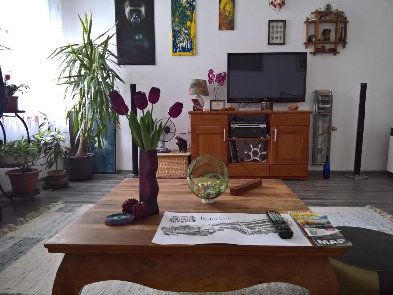 Sunflower — комфортный отель в Будапеште