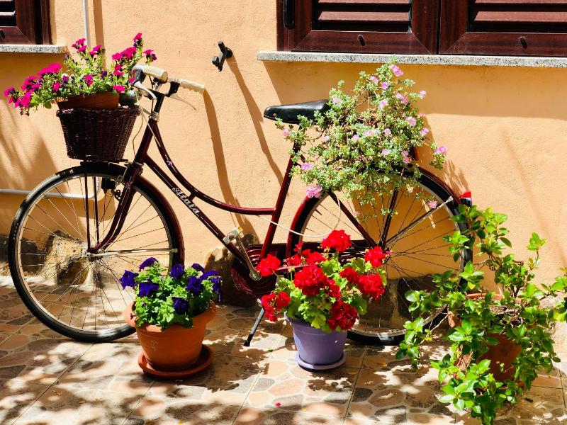 Domo All'Antico Borgo a Oristano - Affascinante B&B