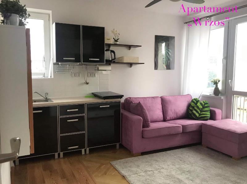 Цены на DELUXE PANSKA APARTMENTS в Варшаве