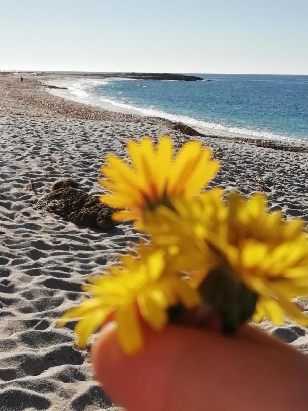 Sardinia for You a Oristano - Moderno Affittacamere