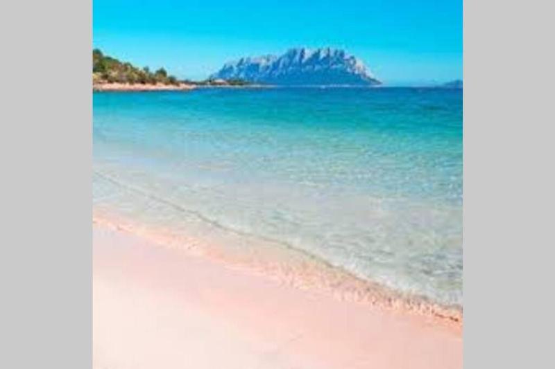 Cottege pegaso a Olbia - Casa vacanze con barbecue