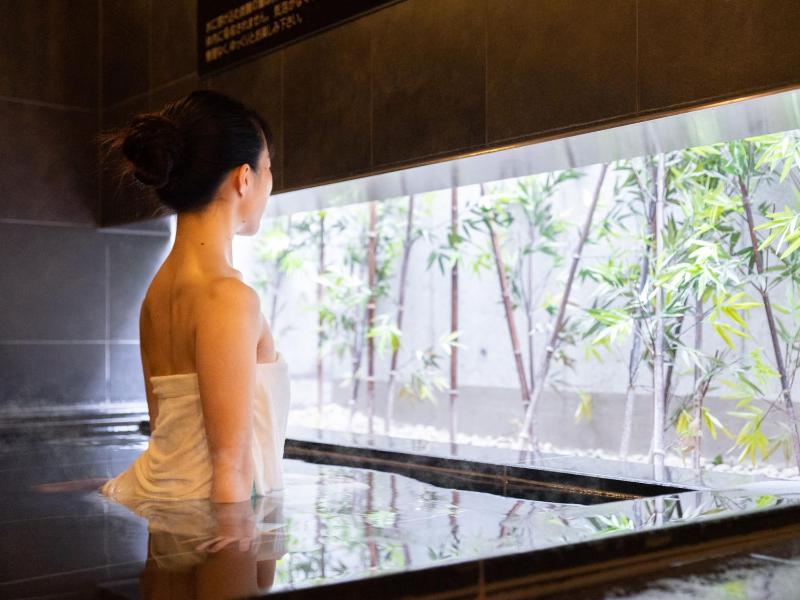 Super Hotel Shinagawa Shinbanba 3 — отель в Токио, Япония