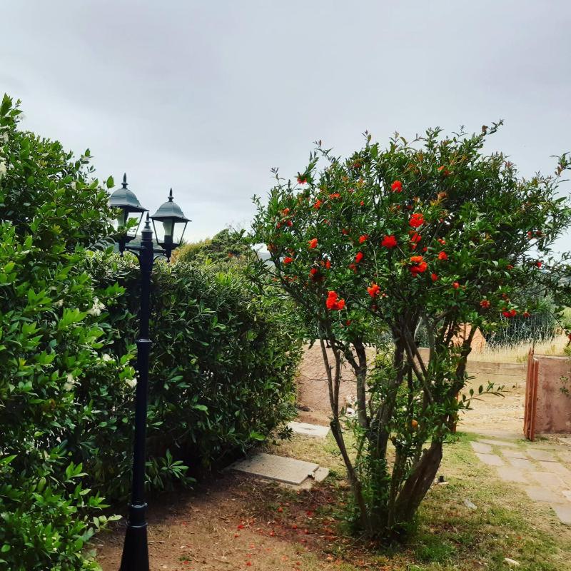 Viale Aquilone 10 a Chia - Splendida casa vicino alle spiagge