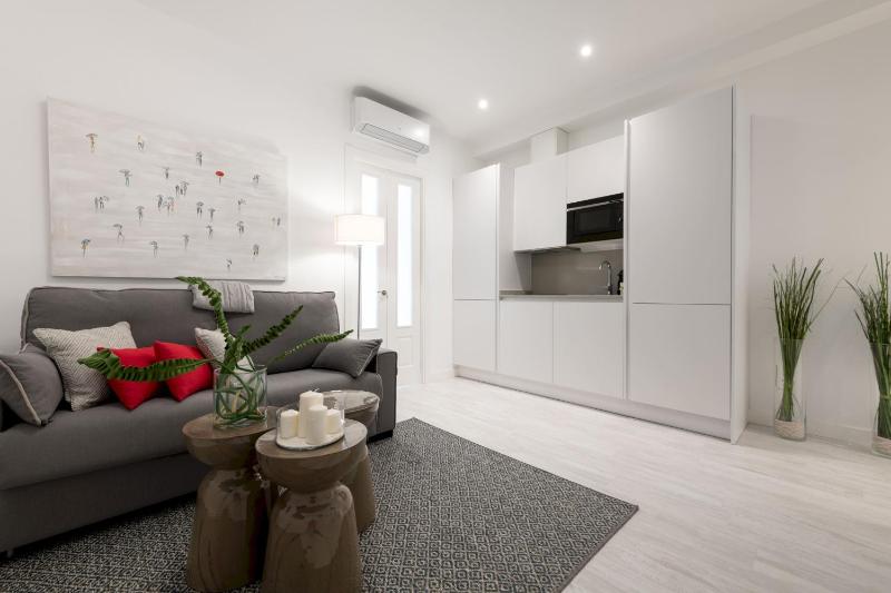 1 bedroom 1 bathroom- Lavapies- Minty Stay- Ave Maria — отель в Мадриде, Испания
