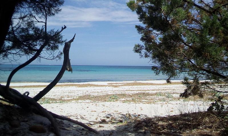 La Quercia a Santa Lucia - Accogliente B&B vicino spiaggia
