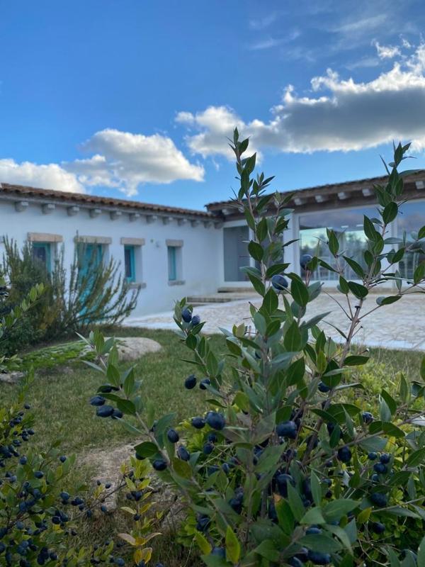 B&B Li Tauli ad Arzachena - Charme e tradizione in Gallura