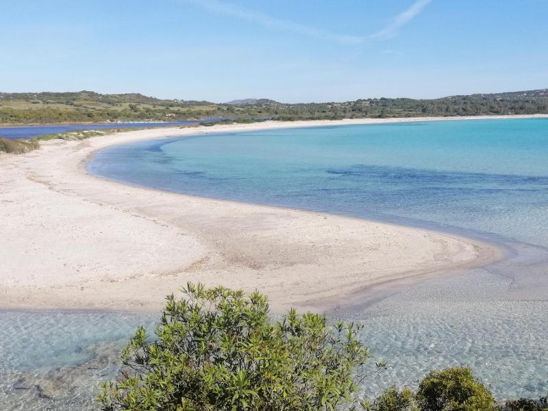 Casa Contadina ad Oristano - Autentica esperienza rurale