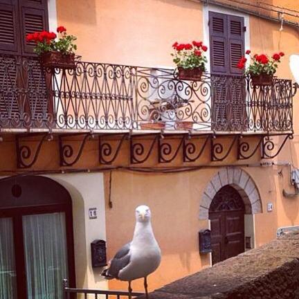 L'Appogghju a Castelsardo - Affascinante B&B vista mare