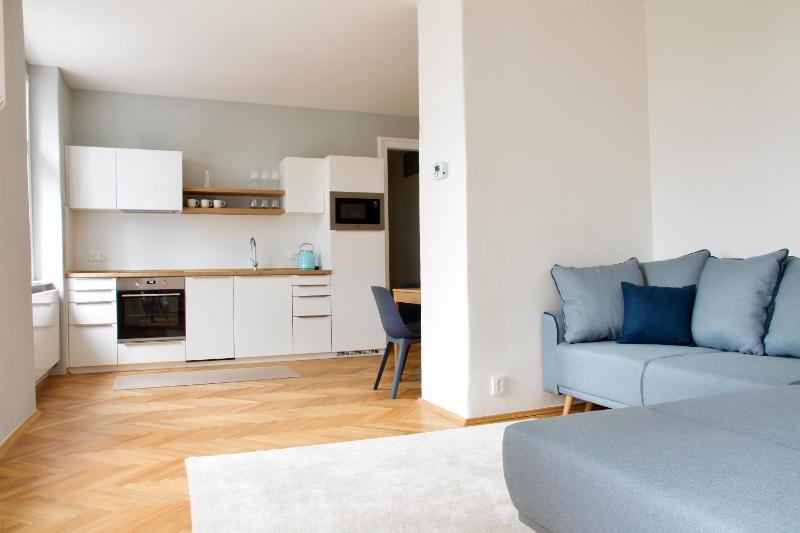 Apartman Vladimir Podebradska 1279 — забронировать отель в Карловых Варах