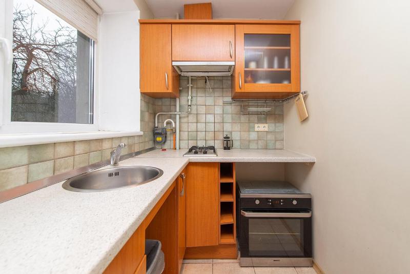 Trendy Old Town Area - Paupys Nature Treat Apartment — отель с удобствами в Вильнюсе