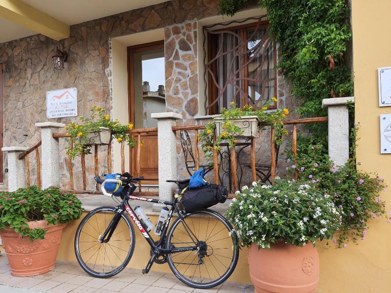 AL PEZ a Olbia - Elegante B&B nel cuore della città