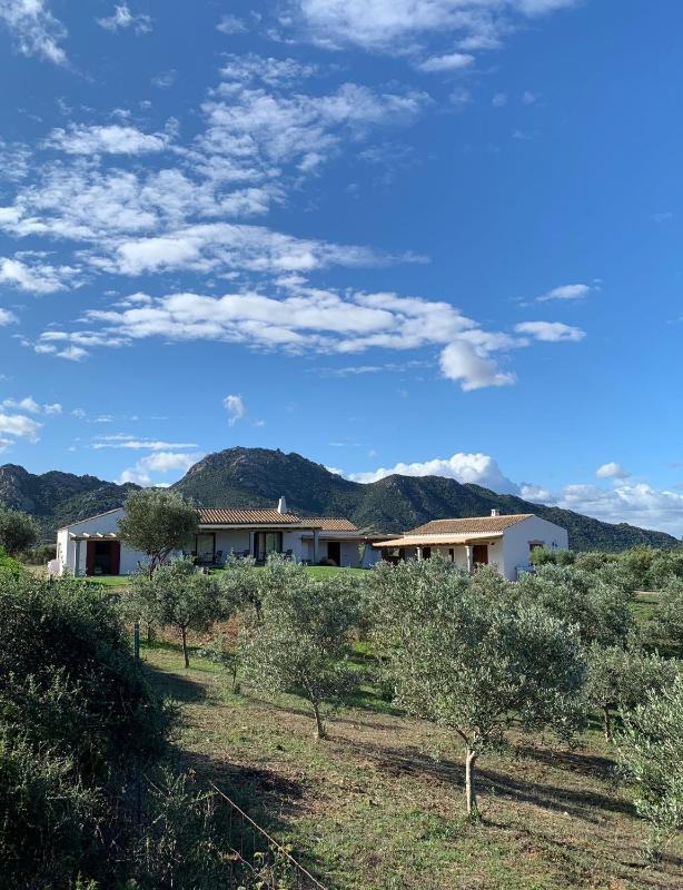 Macciuneddu a Golfo Aranci - Oasi di relax in campagna