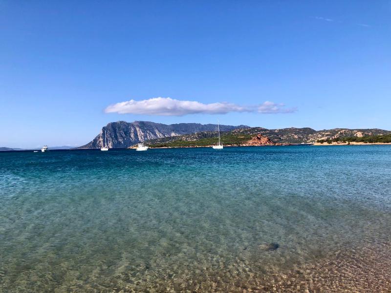 Olbia Mare Marina a Olbia - Appartamento vista mare
