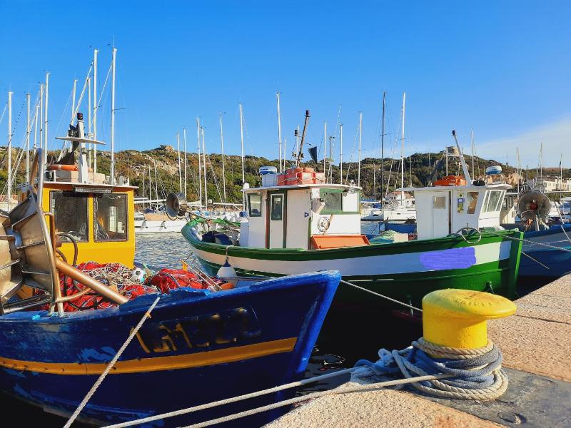 Le Villette di Ruoni a Santa Teresa di Gallura - Appartamenti con ristorante