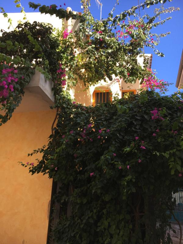 Casa Arborea a Orosei - Accogliente appartamento verde