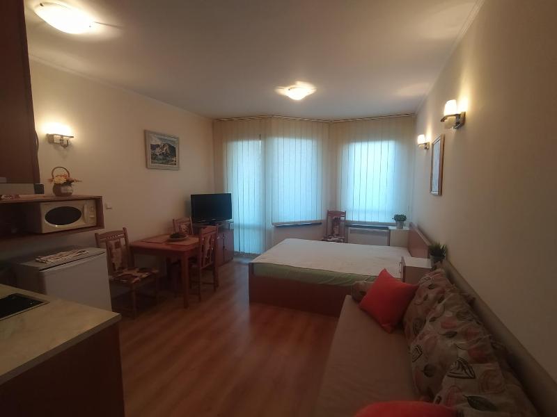 Pine Tree Studio B11 — отель с удобствами в Банско