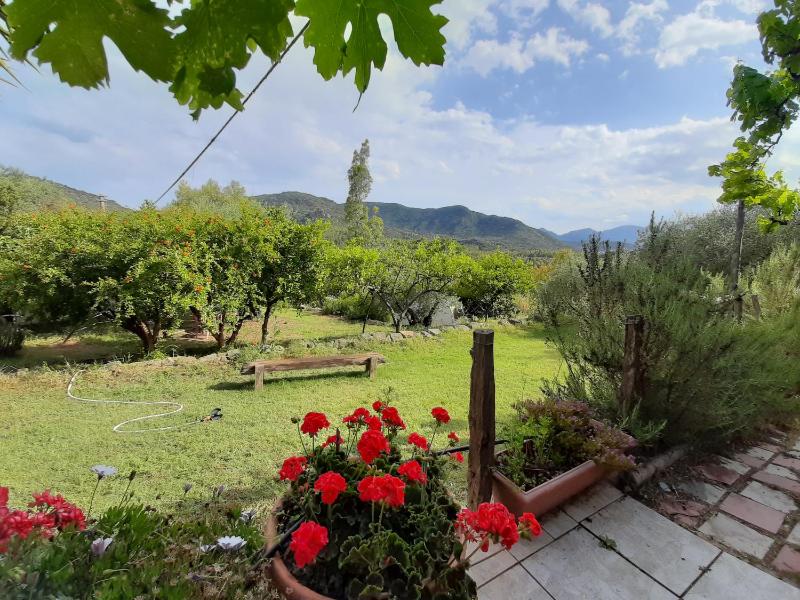S'Imbragu Farm B&B a Tortolì - Oasi di Tranquillità