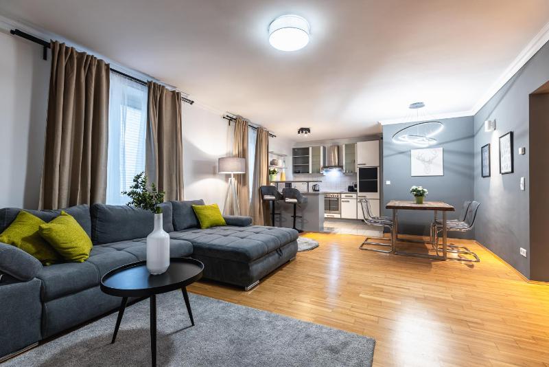 Live Centrally in a Spacious and Modern Apartment in Vienna — комфортный отель в вене