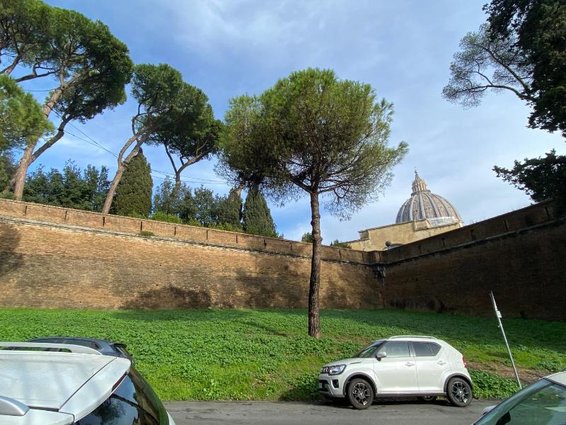 MagnoliaHome alla Cupola di San Pietro — отель с удобным расположением в Риме