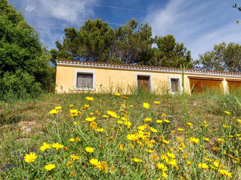 Gli Scalitti a Badesi - Intima casa vacanze vicino al mare