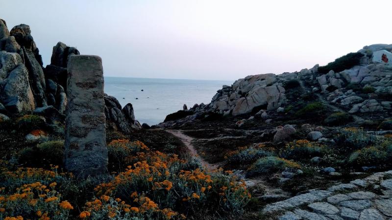 La rosa dei venti a Santa Teresa: Incantevole vista mare