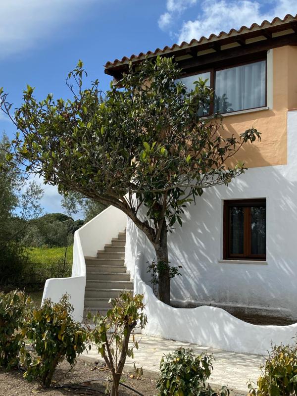 Porta Smeralda a Olbia - Appartamenti con giardino