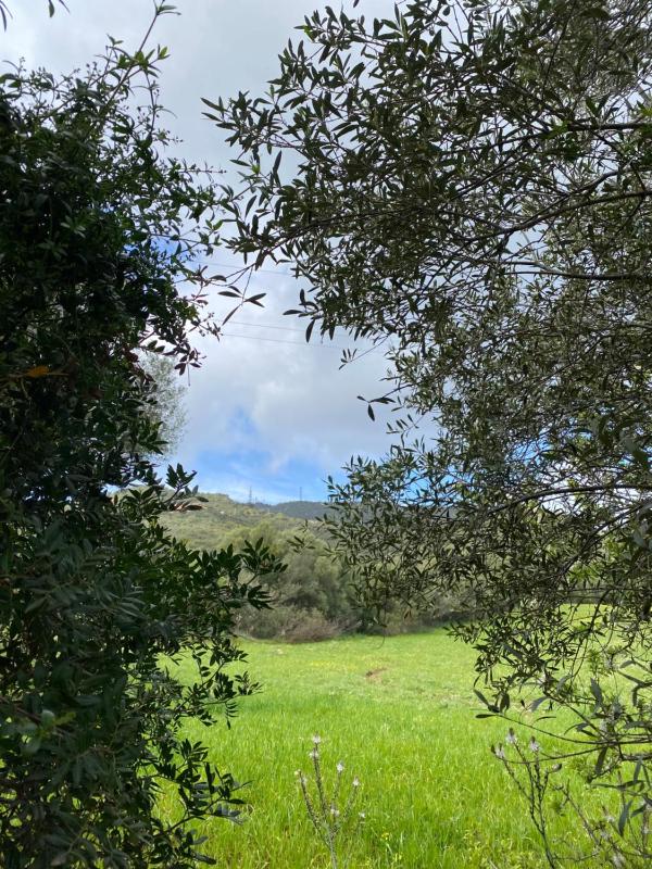 Porta Smeralda a Olbia - Appartamenti con giardino