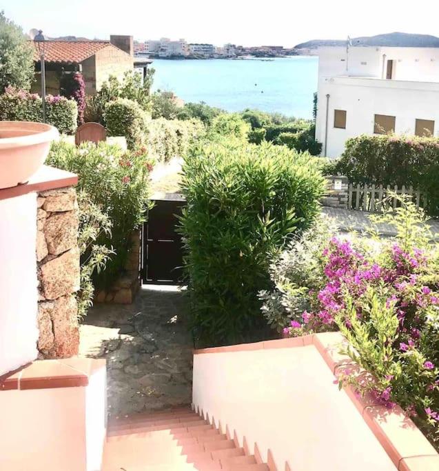 Esclusiva casa vacanze a 30m dal mare a Golfo Aranci