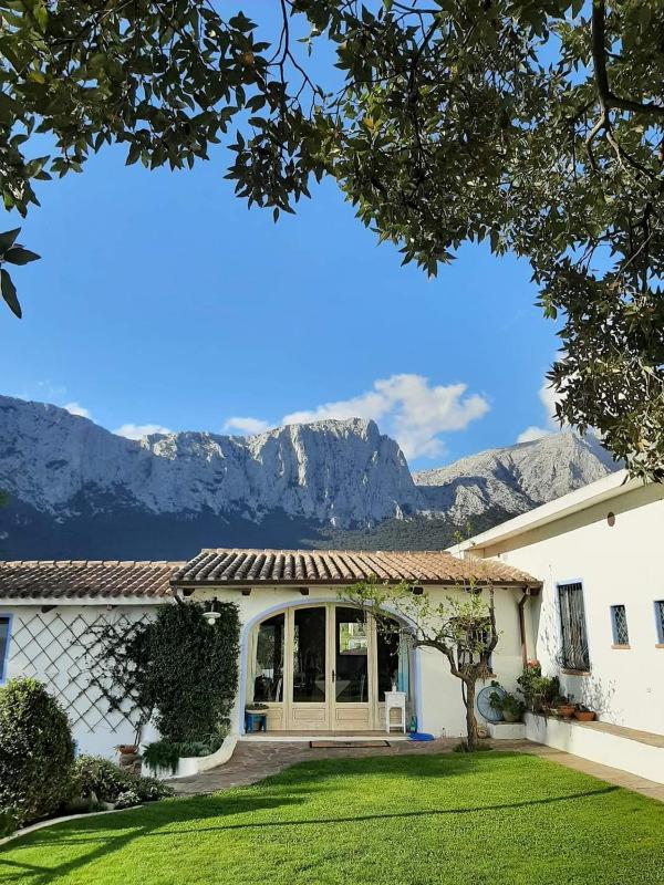 Guthiddai ad Oliena - Idilliaco agriturismo nel verde