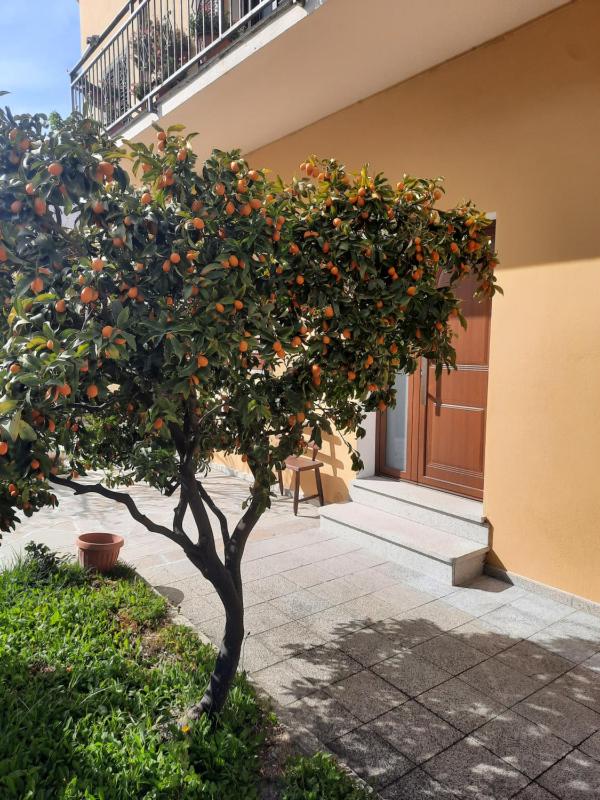 Via Carducci a Olbia - Accogliente Appartamento con Giardino