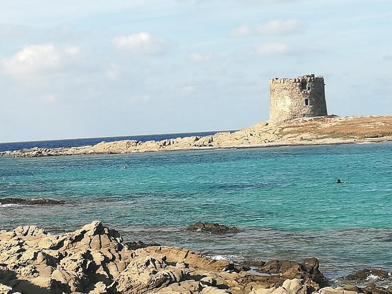 Appartamento Sole a Stintino - Delizioso alloggio centrale