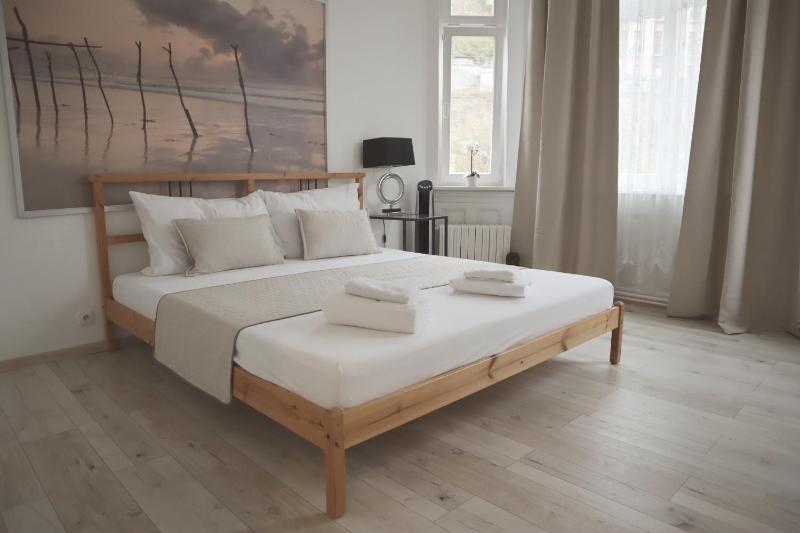 Three Rings Apartments — забронировать отель в Карловых Варах