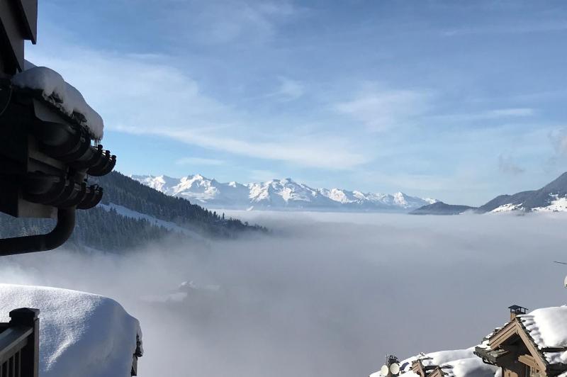 Penthouse l'Ourse Bleue - Sauna privatif - acces direct aux pistes — отель с удобствами в Куршевеле