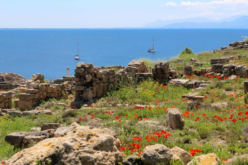Angolo Verde a Oristano - Accogliente B&B con giardino
