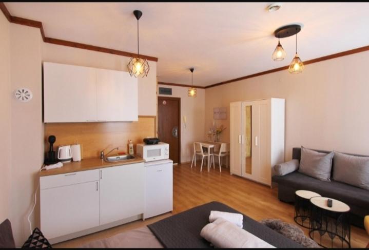 Luxury Suite Ivana — отель с удобным расположением в Банско