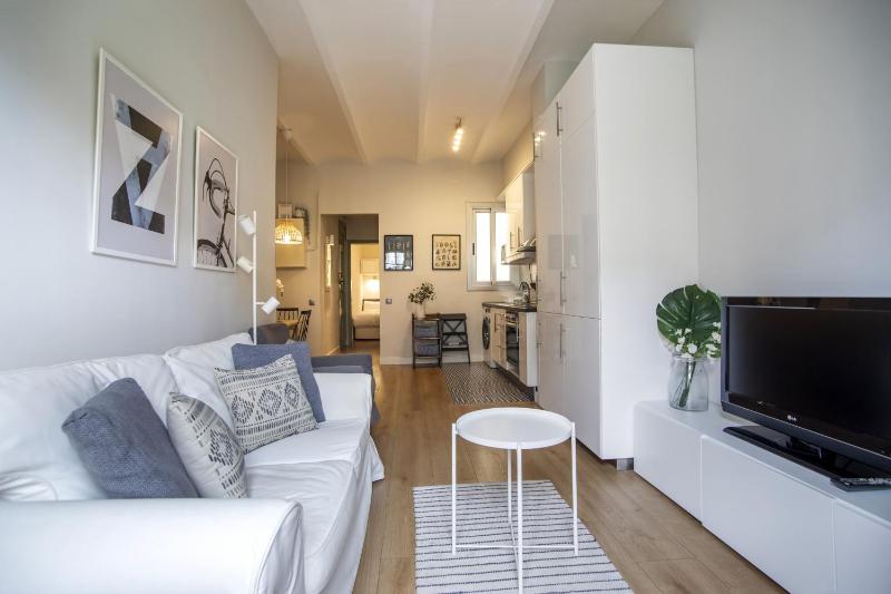 31ENT1027 - Mediterranean decorated apartment — забронировать отель в Барселоне