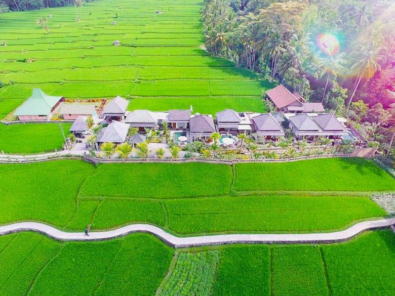 Villa JJ and Spa Ubud — забронировать отель в Убуде
