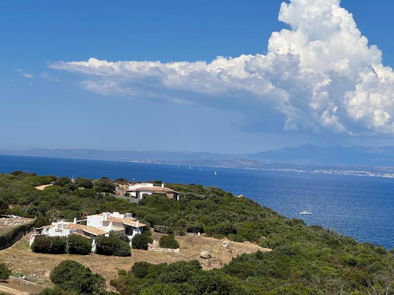 Cute Villa: Incantevole rifugio a due passi dal mare