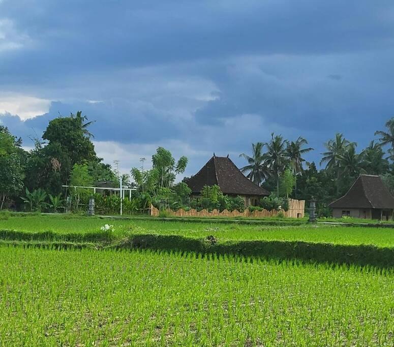 Цены на The Morgan Villa with Rice Field View в Убуде