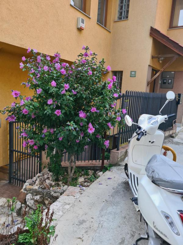 Цены на Apartman Yellow House в Сараево